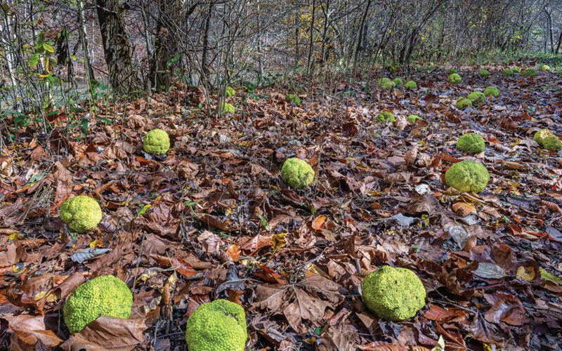 Like a Heimlich Maneuver